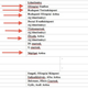 Illustration for article titled Hogyan lesz itt olimpia 2024-ben? Master Plan II. Honnan lesz erre 2000 milliárd HUF?